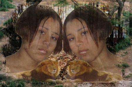 ELODIE